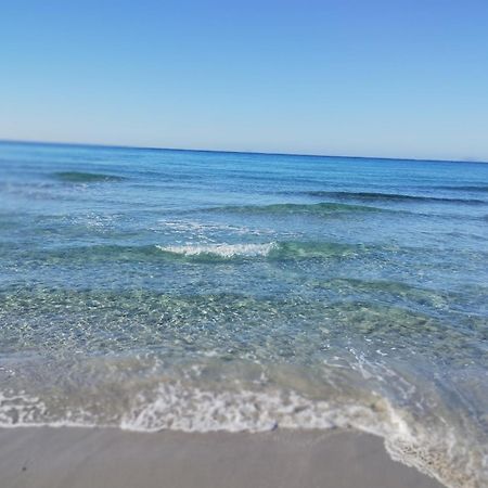 Il Ruscello Villa ซานต์อันนาอาเรซี ภายนอก รูปภาพ