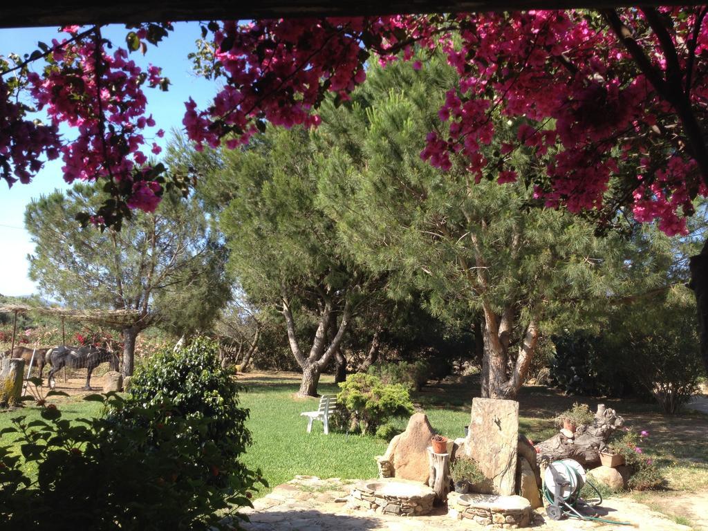 Il Ruscello Villa ซานต์อันนาอาเรซี ห้อง รูปภาพ