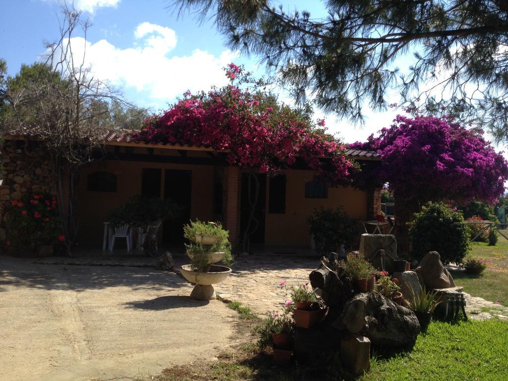 Il Ruscello Villa ซานต์อันนาอาเรซี ห้อง รูปภาพ